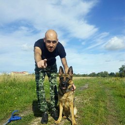 ���������, ����������, 43 ����