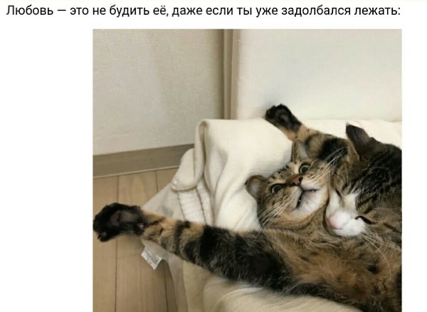   ... - 22  2019  21:50