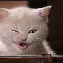 ���� �������, ��������, 50 ��� - ��������� 30 �������� 2018