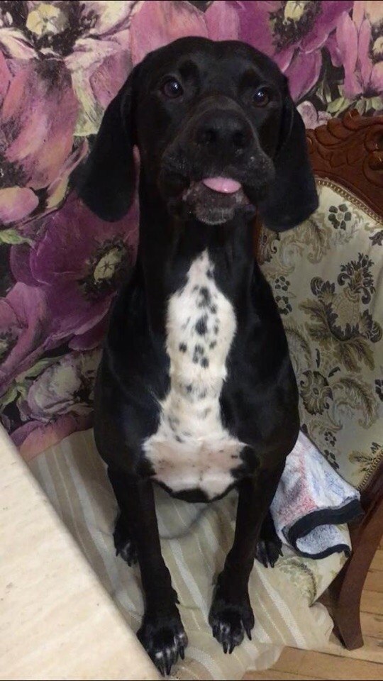 ,  4  ,   