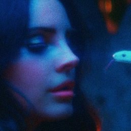 ���������, ������������, 29 ���