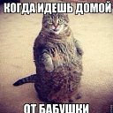 ���� ���������, ����������, 38 ��� - ��������� 23 ������ 2019 � ������ ���� ����������