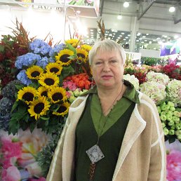 ���� �����, ���������, 72 ���� - ��������� 13 �������� 2018