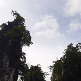 Slava, ���������, 37 ���