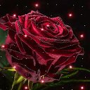 ���� �����, ������, 46 ��� - ��������� 14 ������ 2019