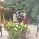 ���� Zurab, ������, 51 ��� - ��������� 6 ������ 2018 � ������ ������ ��������