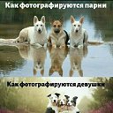 ���� Alekcandr, ������ - ��������� 13 ������ 2019 � ������ ������ ��������