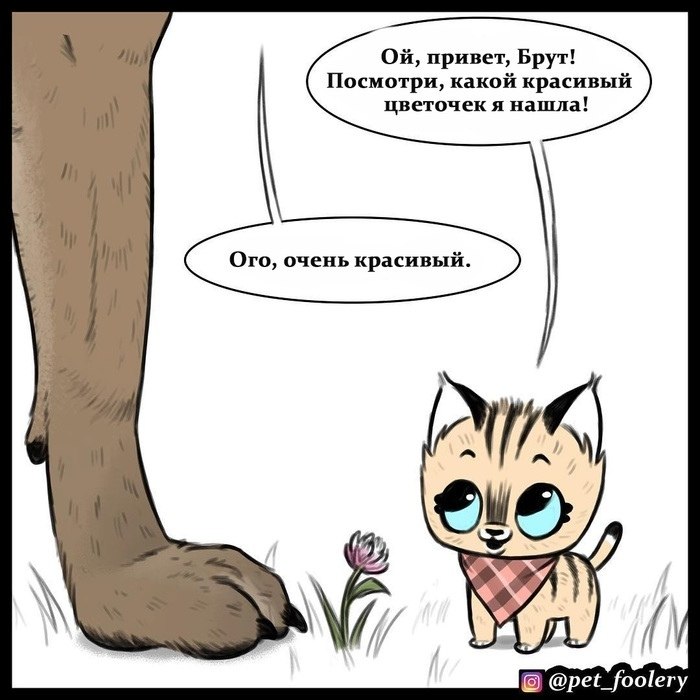     ,    ,    . - 4