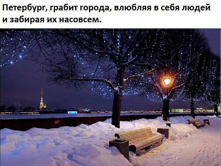   ,    . - 24  2019  20:44