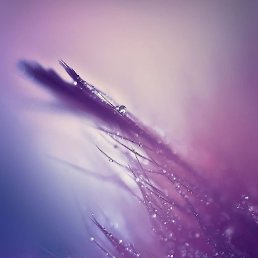 )))�, ��������, 36 ���