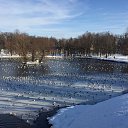  , -, 65  -  28  2019