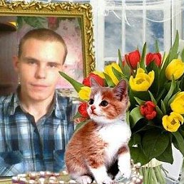 �������, ������, 36 ���