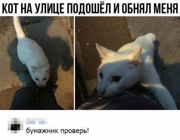   -  -!