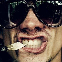 �������, ���������, 37 ���