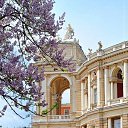 ���� Lady Wolf, �����-��������� - ��������� 24 ����� 2019 � ������ ������ ��������