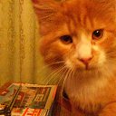 ���� ��������, ������, 45 ��� - ��������� 23 ������� 2019 � ������ ���� ����������