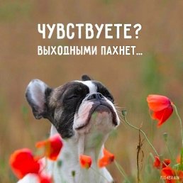 Elena, ������������, 53 ����