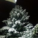 ���� �����, ������, 63 ���� - ��������� 19 ������� 2018