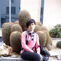 ������, ������ ���