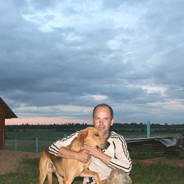 ���� ���������, �������, 55 ��� - ��������� 16 ������ 2019