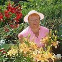 ���� �����, ��� - ��������� 25 ���� 2018 � ������ ���� ����������