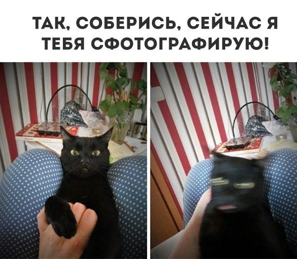   - 1  2018  16:19