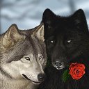 ���� �������, ����������� - ��������� 14 ������� 2019 � ������ ������ ��������