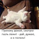 ���� Vitek, �������, 52 ���� - ��������� 10 ����� 2019 � ������ ���� ����������