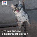 ���� �����, ������, 48 ��� - ��������� 7 ������� 2018 � ������ ���� ����������