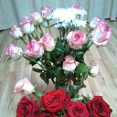 ���� Tatyana, ����� - ��������� 3 ������ 2019 � ������ ���� ����������