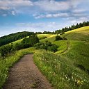 ���� �������, ��������, 43 ���� - ��������� 12 ������ 2019 � ������ ���� ����������