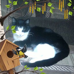 ������, ����-���, 64 ����