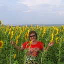 ���� ������, �������� - ��������� 7 ������� 2018 � ������ ������ ��������