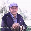 ���� ���������, ������, 62 ���� - ��������� 25 ���� 2018