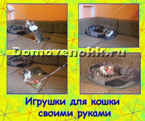 https://domovenokk.ru/master-klassy/igrushki-dlya-koshki-svoimi-rukami