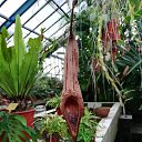 ���� ���, ����, 65 ��� - ��������� 18 ������� 2018 � ������ �������� 2018�