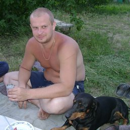 ���������, ���������, 49 ���