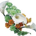 ���� �����, ������, 33 ���� - ��������� 21 ����� 2019 � ������ ������ ��������