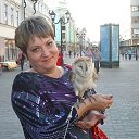 ���� ������, ������, 57 ��� - ��������� 18 ������� 2018 � ������ ���� ����������