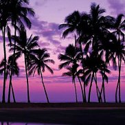 ���, 26 ���, ������