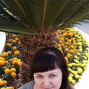 ����, , �����