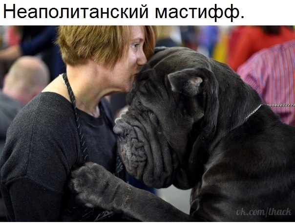 ������� - 25 ������ 2018 � 16:29