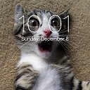 ���� Jurij, ����, 47 ��� - ��������� 2 ������� 2018 � ������ ������ ��������