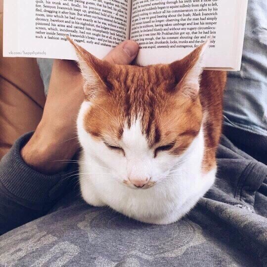 Чем бoльше мы oтдаём другим рaдocти, нежнoсти и любви, тем больше у нас счастья. Это как колодец с ... - 3