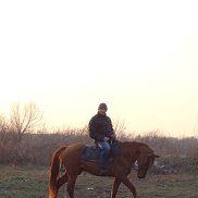 Андрей, 37 лет, Уссурийск Андрей, 37 лет, Уссурийск