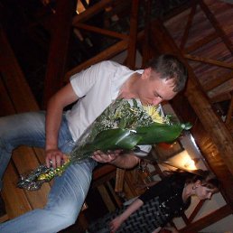 Nihua_hua, ����������, 39 ���