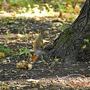 ���� ������, ������, 57 ��� - ��������� 16 �������� 2018 � ������ ���������� ������