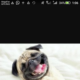 ���� ���������, ������, 41 ��� - ��������� 5 ������ 2018