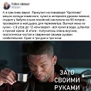 ���� �����, ����������� - ��������� 7 ������� 2019 � ������ ������ ��������