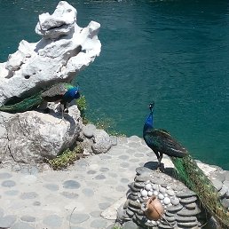 ���� �������, ������, 51 ��� - ��������� 18 ���� 2018